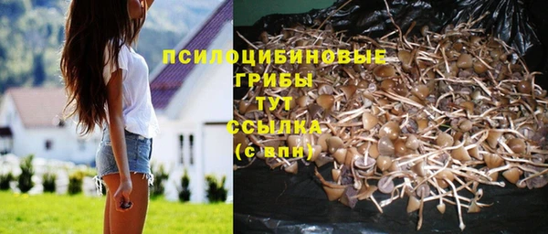а пвп мука Богданович