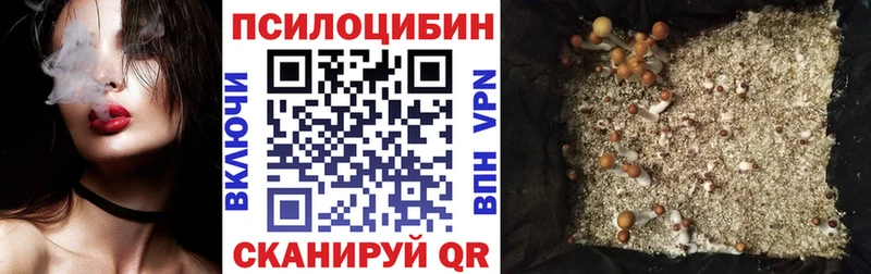 Псилоцибиновые грибы прущие грибы  Новокузнецк 